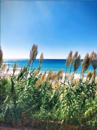 Conil Vistas Al Mar Del Roqueo, Fuente Del Gallo Конил-де-ла-Фронтера Екстериор снимка